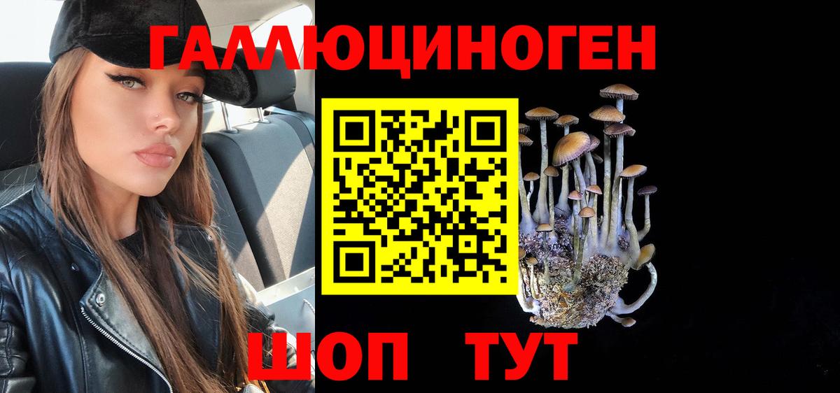 Галлюциногенные грибы Cubensis  Вход с VPN  Сертолово 